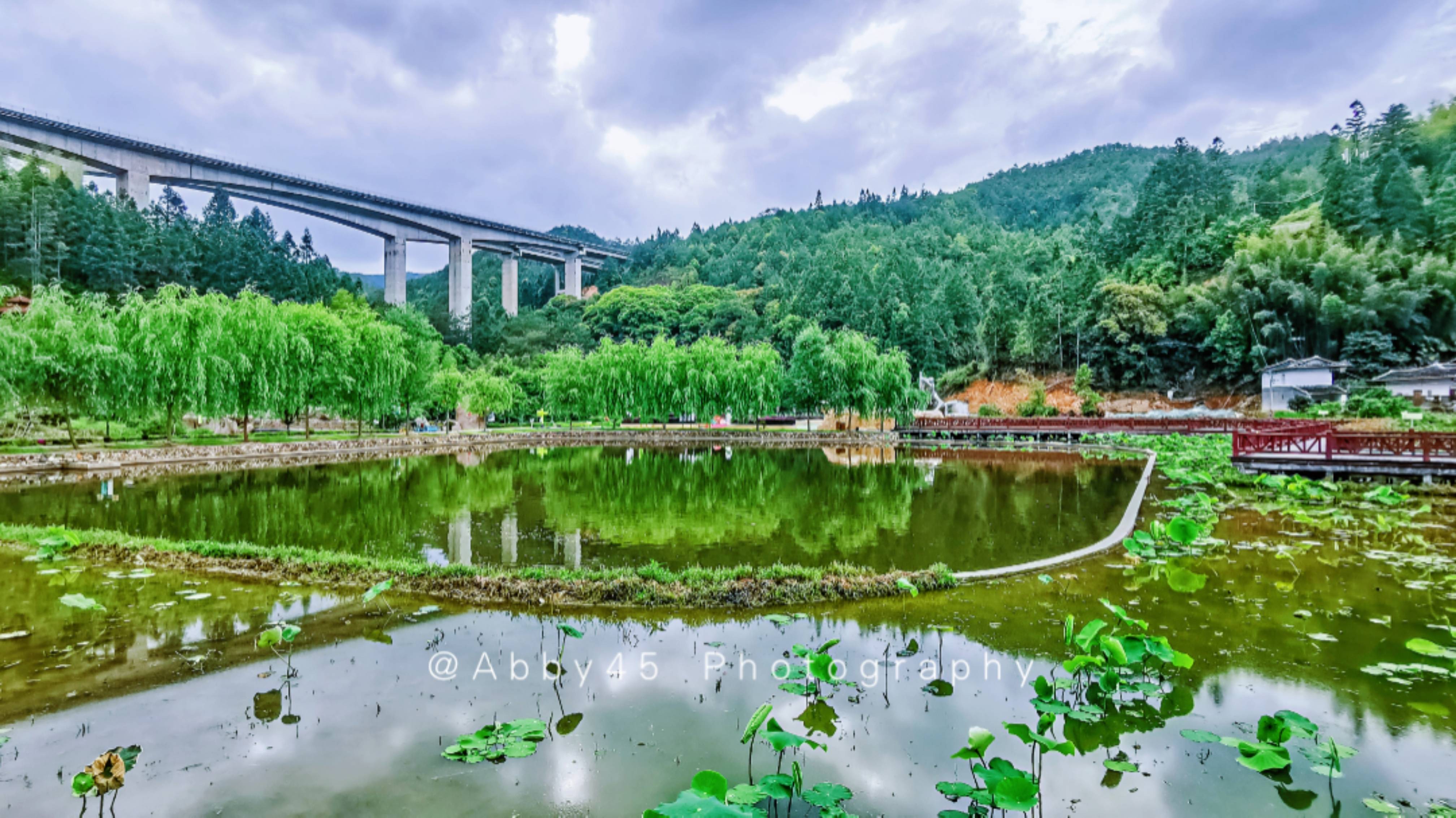 闽中屋脊戴云山南麓的云龙谷是晋江源头全球最大蛙王坐镇