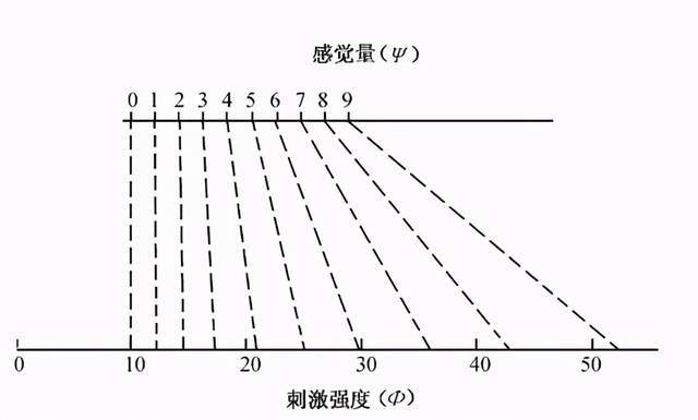 科学心理学的起源韦伯