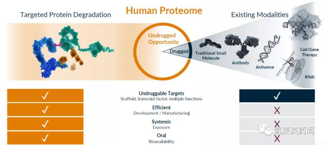 未来可期的PROTAC：全球最新研发进展_药物