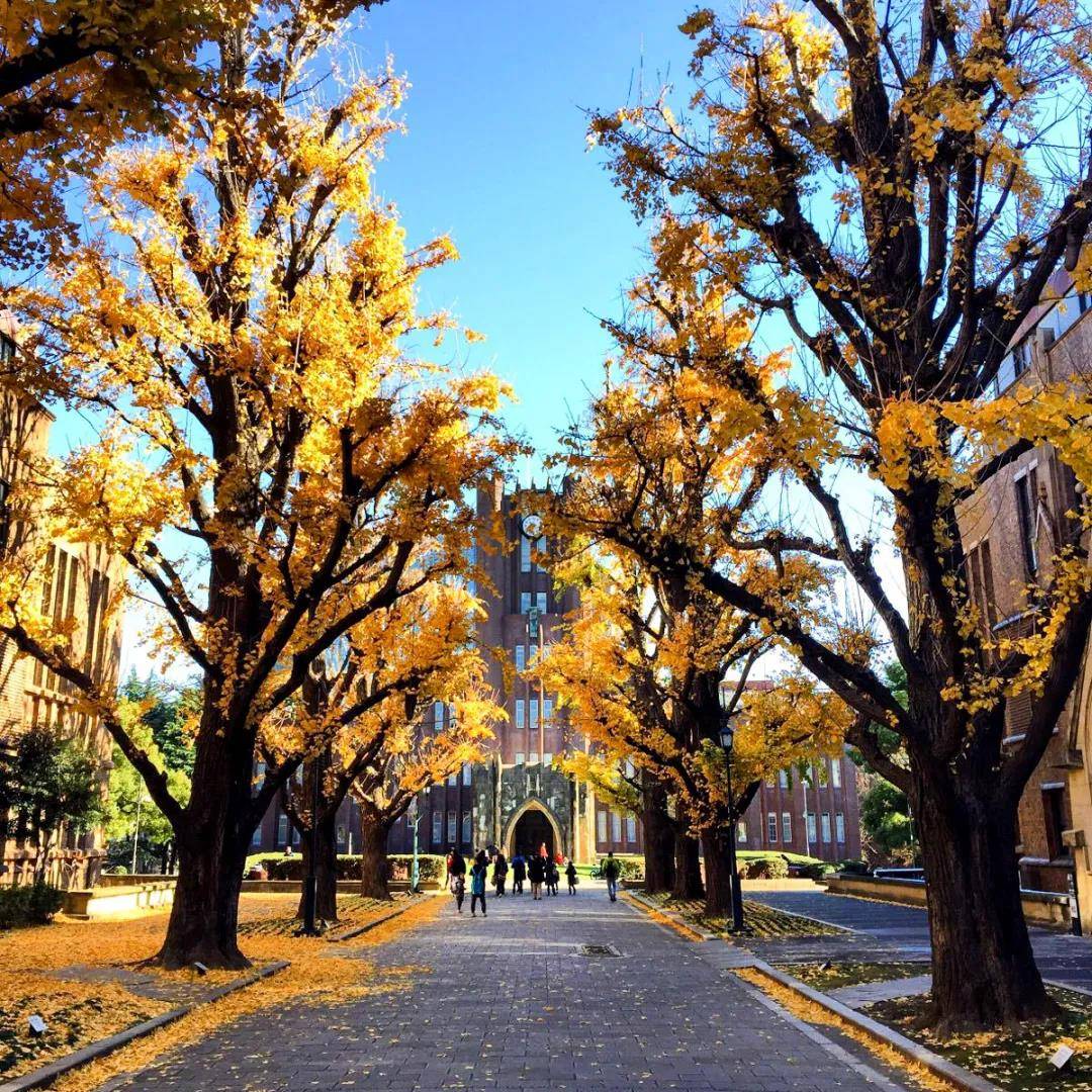 北京东方红学校中日国际高中班 日本 性价比最高的留学目的地 大学