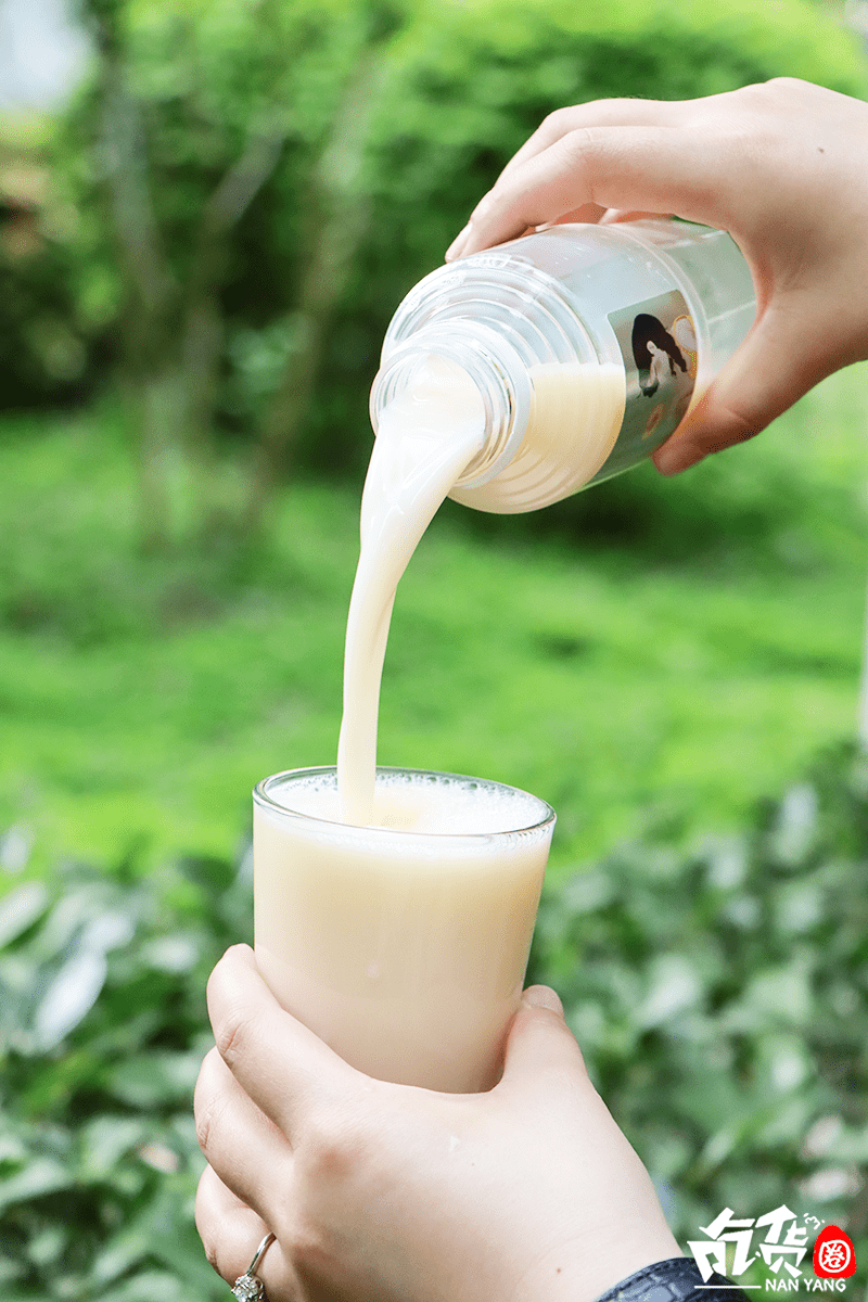 三色鸽牛奶南阳人喝了30年2021新品上市变了