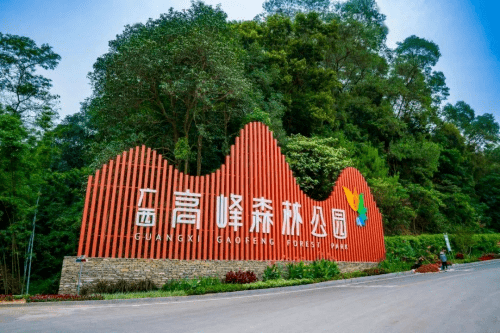 探秘广西高峰森林公园5月15日31日重磅福利为你而来