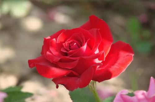 297f7eee1ac848849c75e6354211be45.jpeg