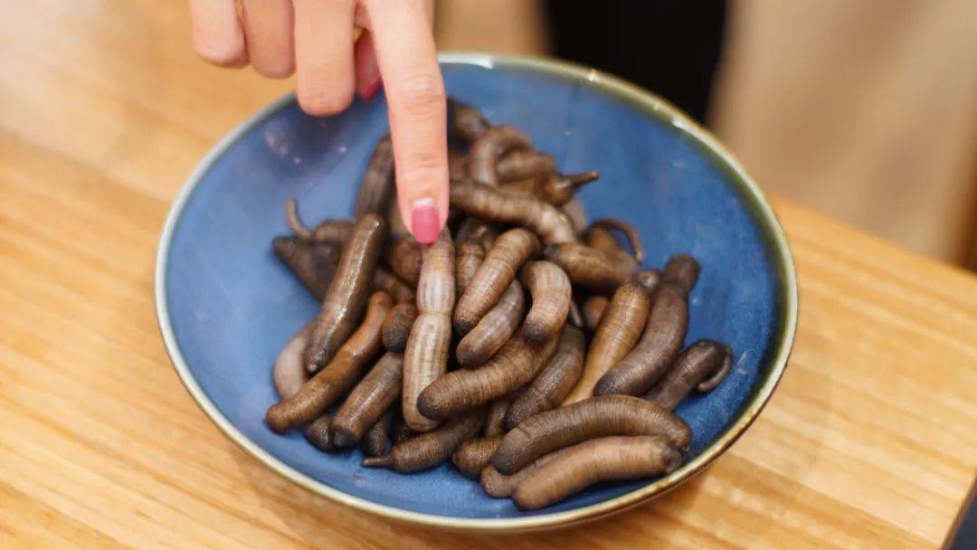 土笋冻为什么那么普通 又那么自信 沙虫