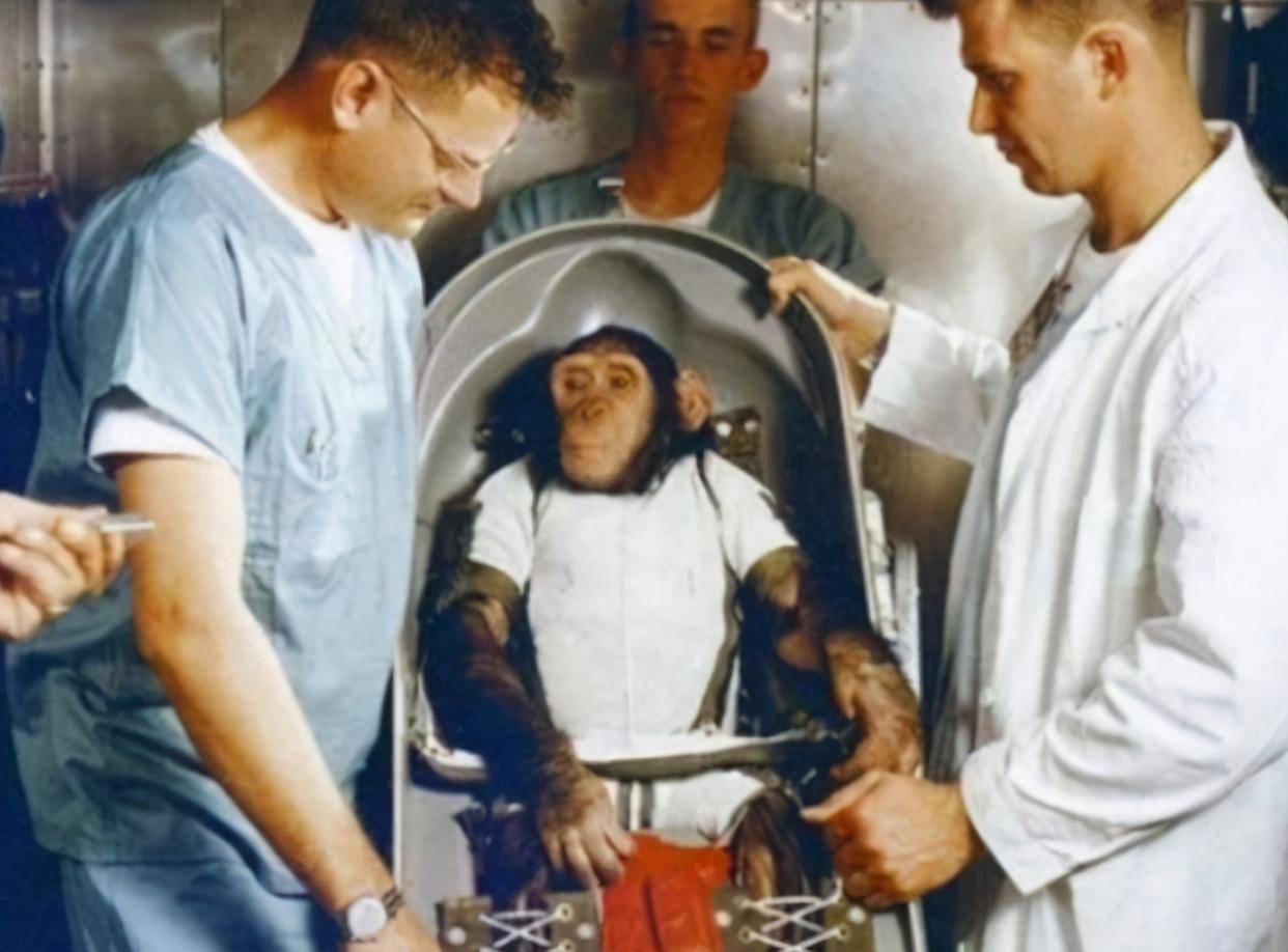 结局|那只被人类送上太空的猴子，如今还活着吗？结局让人心酸