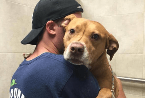 这5种声音狗狗最讨厌了你知道吗