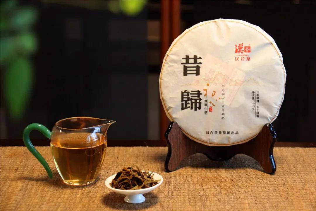 汉合昔归古树:不忘初心,方得始终 | 经年传承,岁月烙印_普洱茶