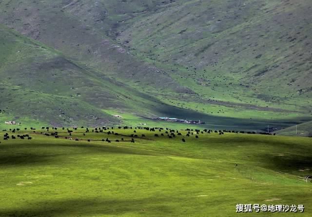 为什么高寒地区人口稀少_青藏地区高寒思维导图