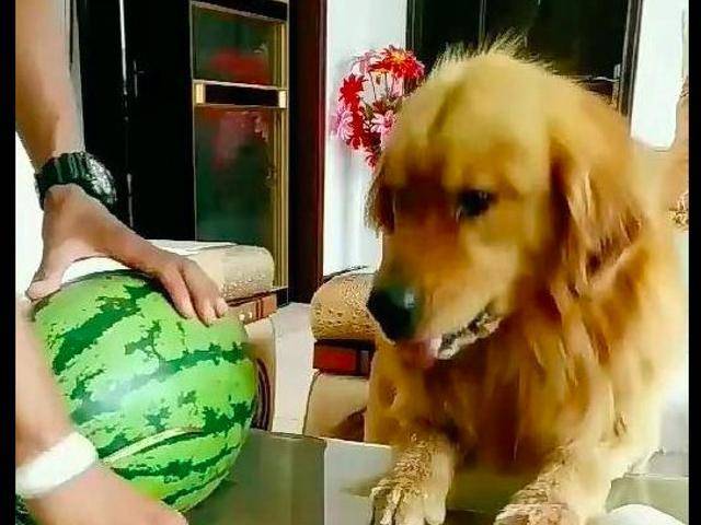 d022ca068c1d404e87a1870e5536e710.jpeg