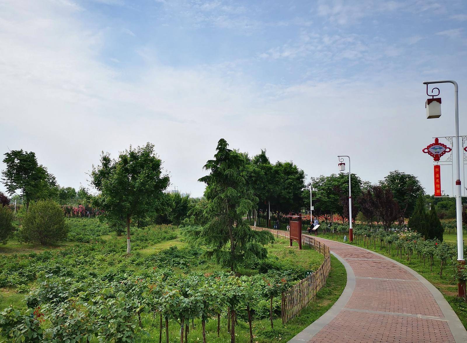 咸阳湖这么美,快来逛