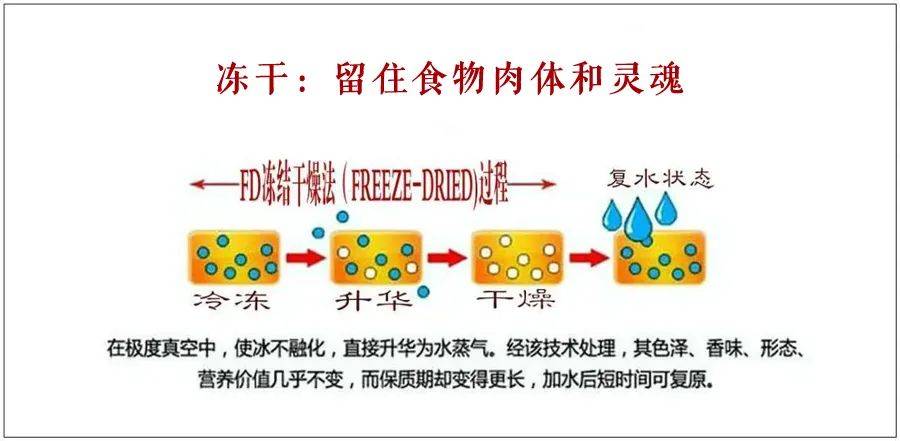 fd冻干技术的特点:1.