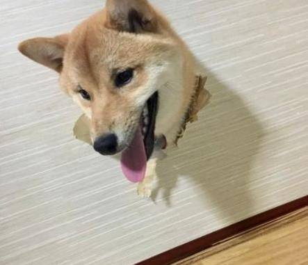 18f8a05038f042ce9038ae28deda4f09.jpeg