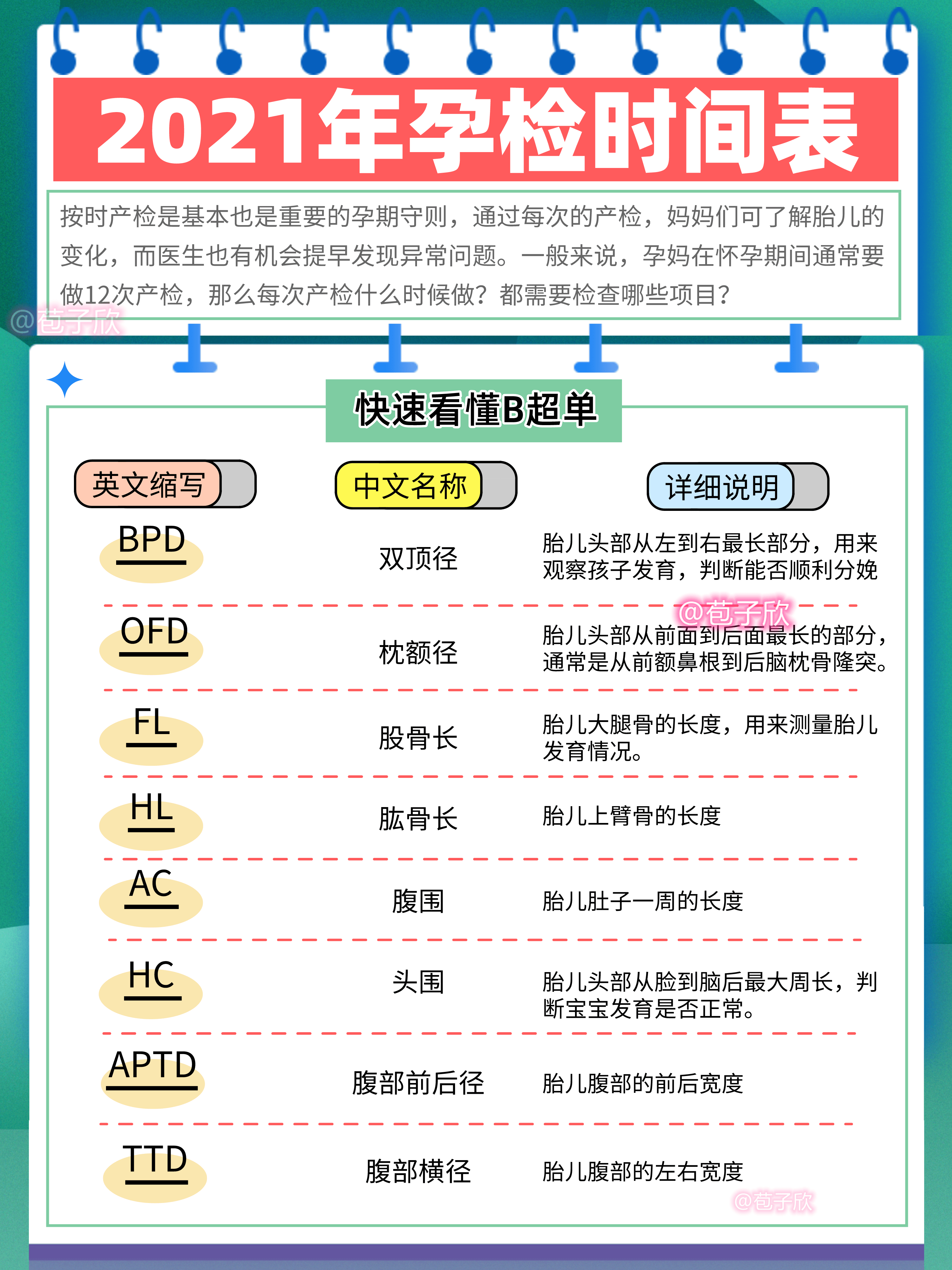 孕周b超数据对照表图片