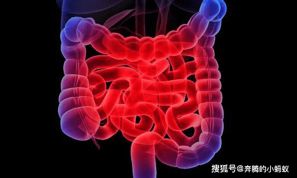 怎么才能不长肠息肉 ac801831c9854bef93290351c7ec4479.png