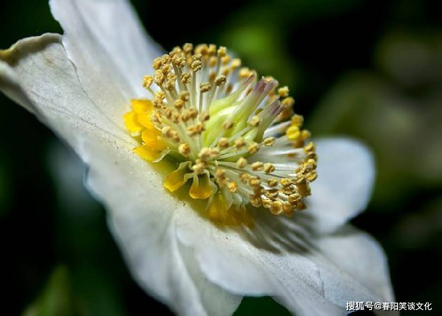 梦境中的尴尬瞬间,解析梦见自己拉屎并擦到纸上很多旁边还有人的深层含义 梦境中的尴尬瞬间,解析梦见自己拉屎并擦到纸上很多旁边还有人的深层含义