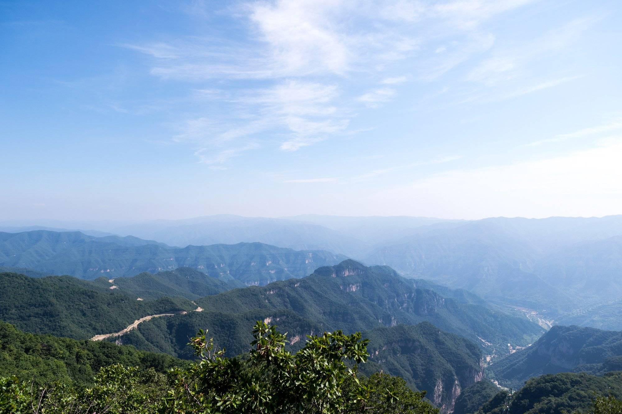 山姓全国有多少人口_山东出现肺炎疫情分布图 全国肺炎疫情最新分布图 山东(3)