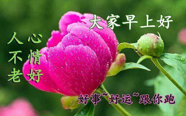 5月24日星期一早安温馨问候语图片周一免打字早安问候祝福语图片带字 人生