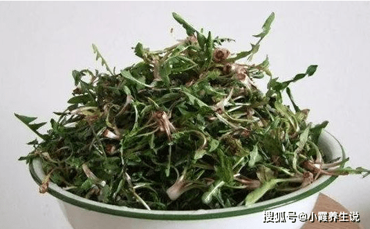 婆婆丁野菜有什么功效 ef3cfb5d0bec4703840cb21826be799d.png