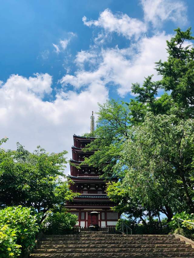 东京周边的一处赏花踏青的寺庙 有一万株绣球花和五千株菖蒲花池 紫阳花