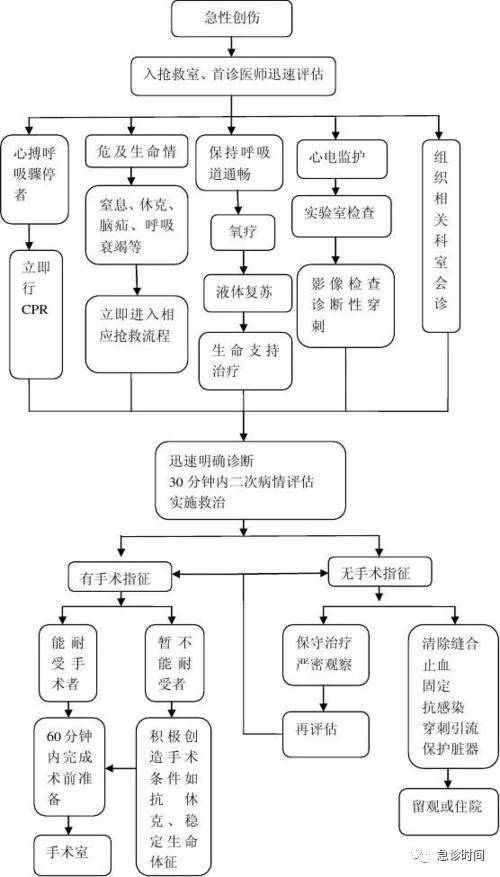 临床急诊抢救流程图解图片