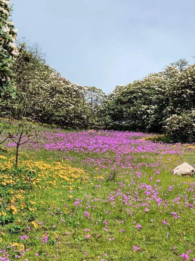 九鼎山漫步云端后花园