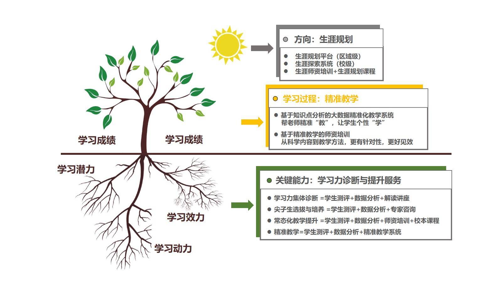 大学生生涯规划树状图图片