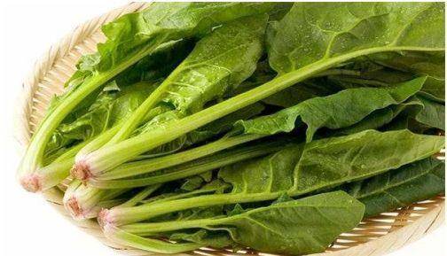 啥菜含钾最高 18c5869d38a74f2cbc6be8557ec0cf64.jpeg