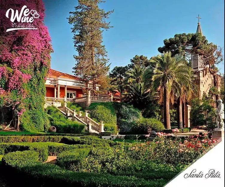 Wines|Wines of Chile明星阵容亮相Wine to Asia 2021,呈现智利魅力!