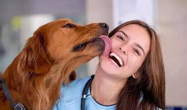 什么是舔狗呀 702bc59d82b64deea277dea54ee505db.jpeg