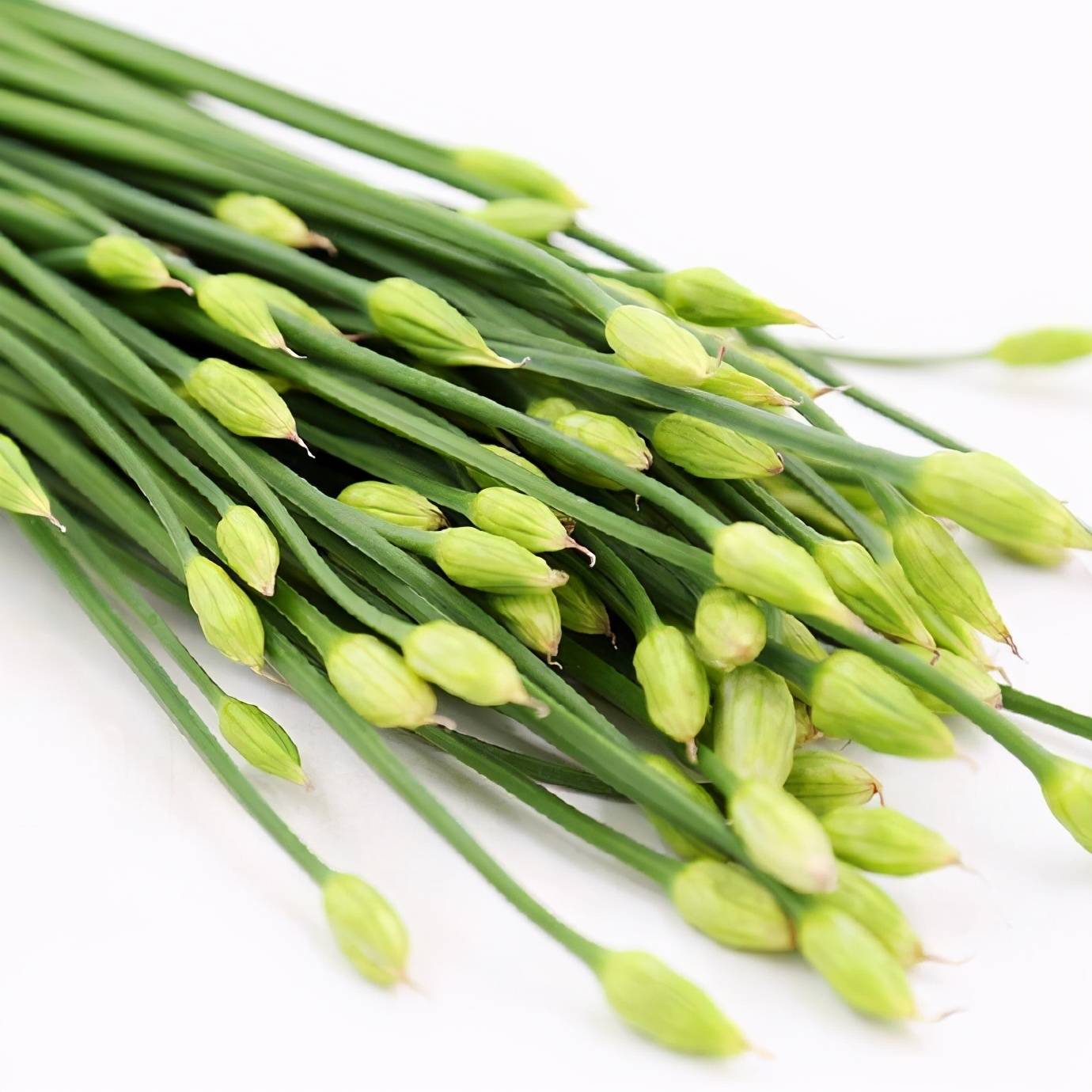 韭菜薹這一道好吃的菜，你喜歡嗎？ 熱愛美食 第5张
