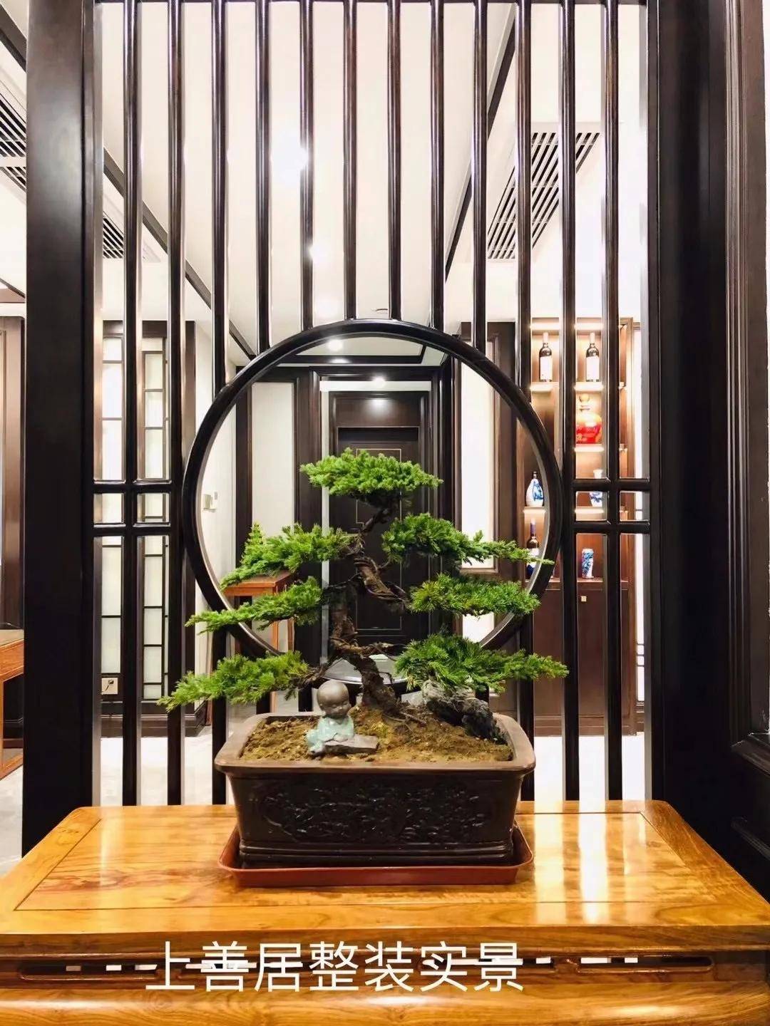 为主因为木头的颜色一般都比较深色红木和杉木颜色深是质量的保证
