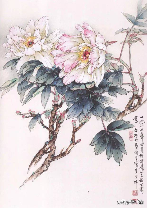 花开富贵工笔牡丹临习范本选页欣赏