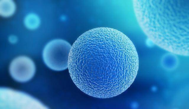 什么是精子什么是卵子 8b2b948d0a9741a0a46bc918cd2dc4bb.jpeg