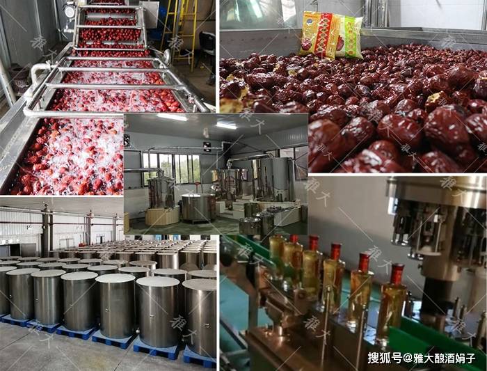 红枣酒酿酒全过程 返回搜