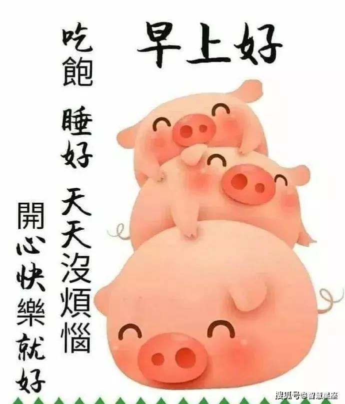 原创漂亮大方的暖心早上好图片精美推荐,快乐早安表情问候动态图片