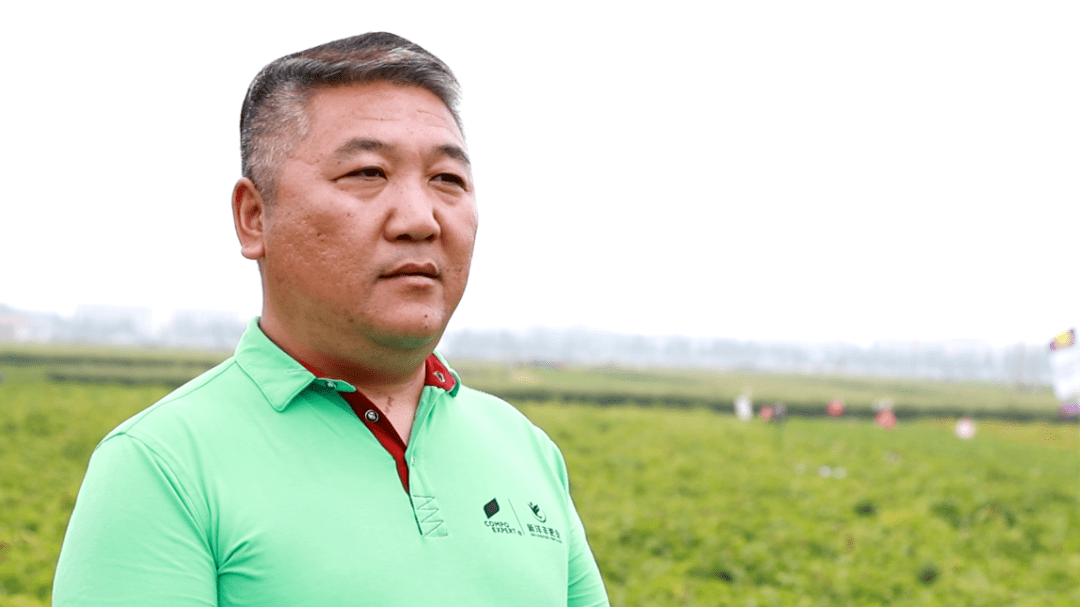 康朴诺泰克被强行早收的土豆背后有什么秘密