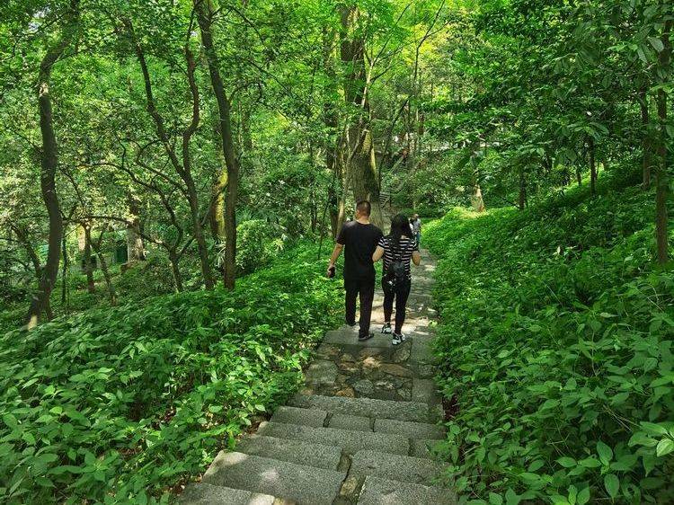 心系远山登岳麓山