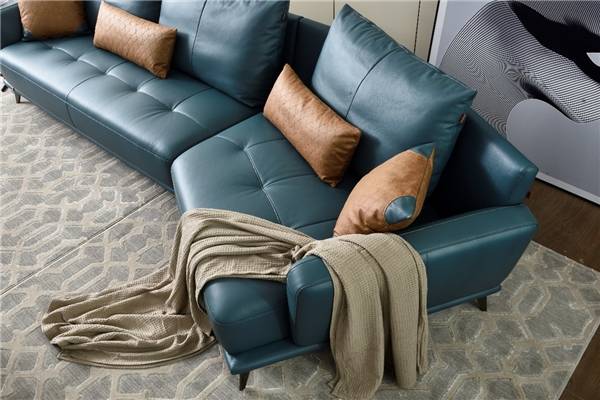 功能沙发品牌排行_高档沙发品牌推荐,帝标家居以“新国货”助力美好生活