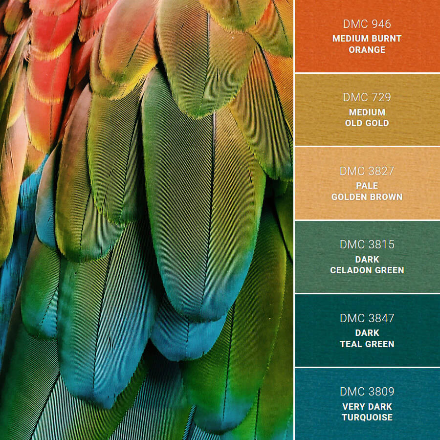 发现最美的色彩搭配