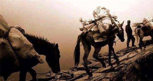 ,再加上明朝开展茶马贸易迫使西北番人“不敢为叛”,断了北虏的后路。