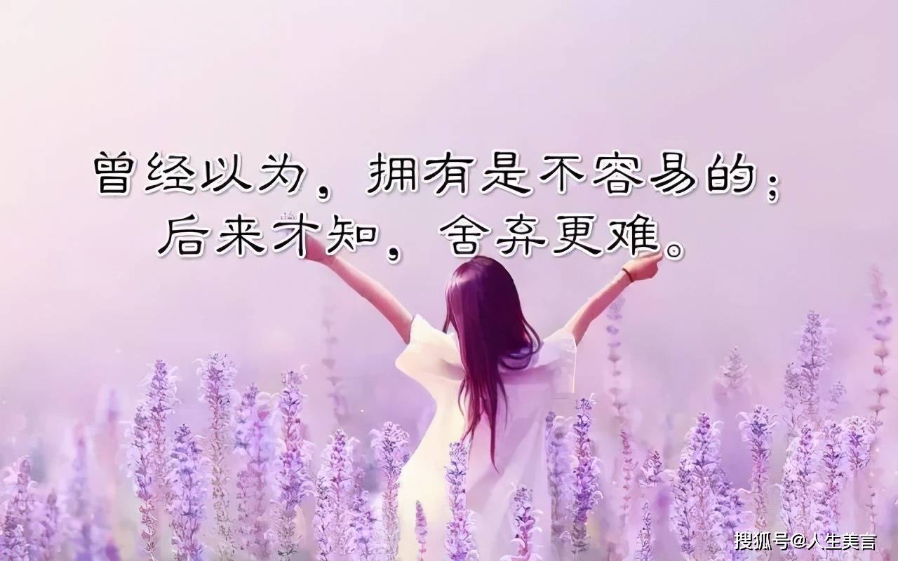 精辟人生感悟句子图片图片