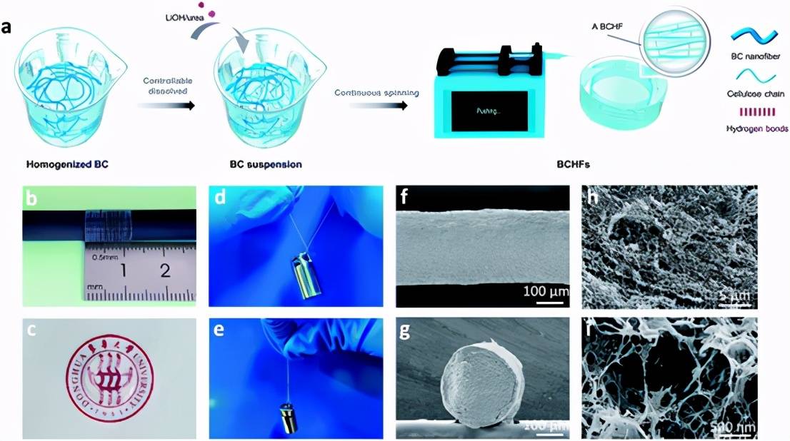 原创连续纺高强度细菌纤维素水凝胶纤维用于多功能生物电子界面