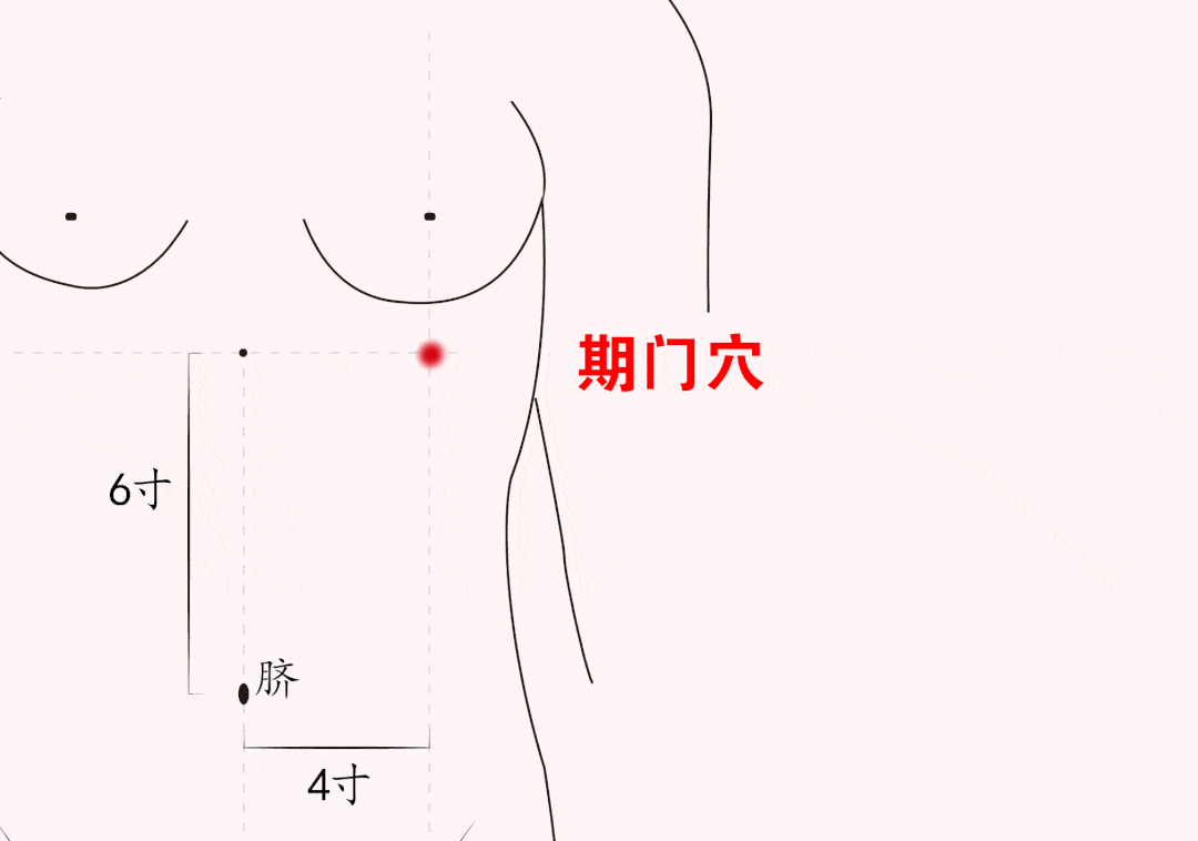 ★ 期门穴 ★专治爱生闷气、消化不良我们经常说“胃不和则卧不安”，顾