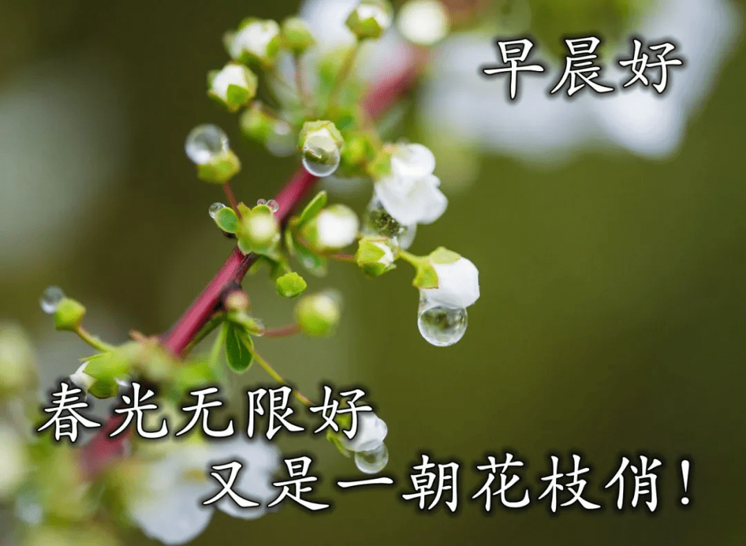 1c119ad852a546fa90afc2f43d8d2318.png