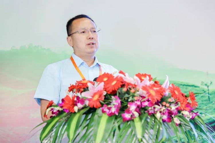 宁国市组团赴上海参加茶博会并专题推介黄花云尖茶