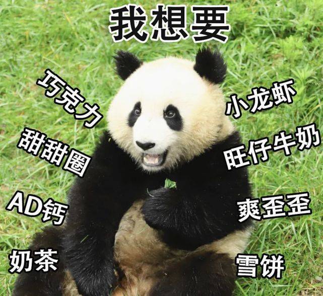 aacf11bf45b64dabb1d05f04216db514.jpeg