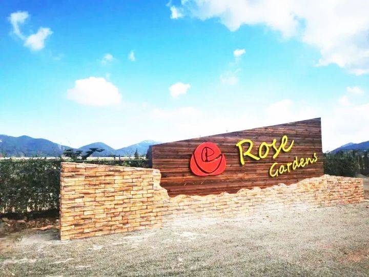 万朵玫瑰罗曼蒂克之旅爱花的你我怎么能错过普陀超赞的展茅海上玫瑰园