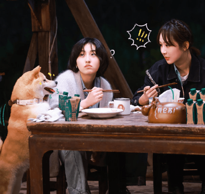 向往的生活5女性常驻嘉宾的加盟让人对其太过羡慕导演真的太会了