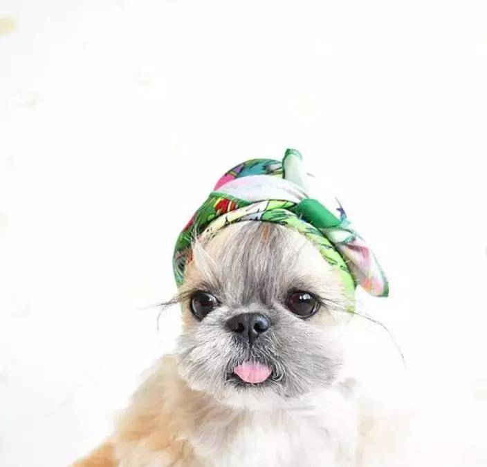 造型的完成度靠脸 别怕 你的御用美容师上线了 发型