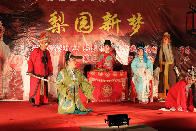 人民的非遗2有着200多年历史的安国老调